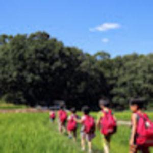 Meet your Posher, Sun